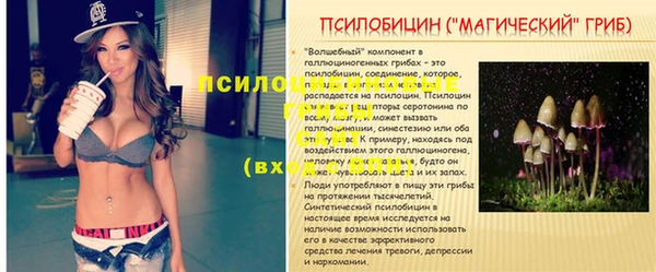 герыч Билибино