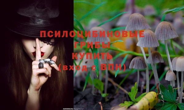 герыч Билибино