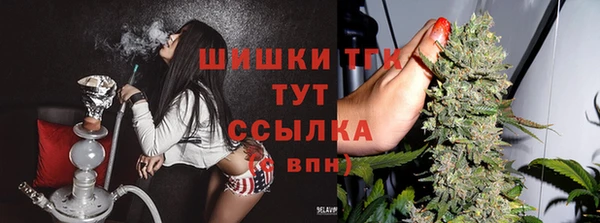 ешки Бежецк
