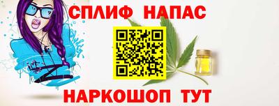 прущие грибы Волжск