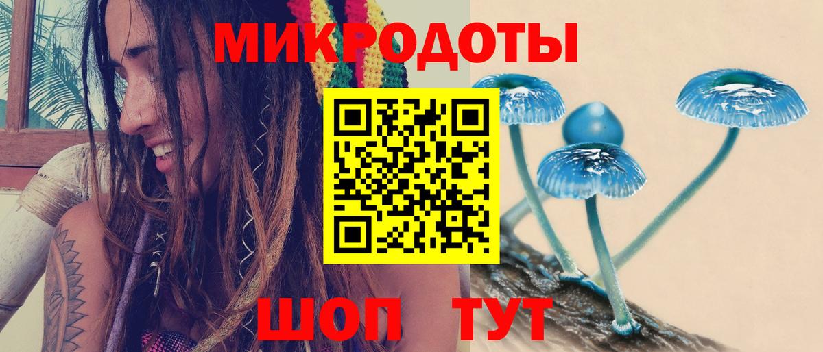 Псилоцибиновые грибы Magic Shrooms  Галлюциногенные грибы Psilocybe  Вход с VPN  Донецк 