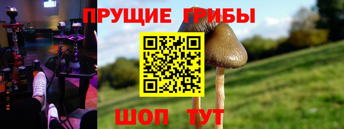 Галлюциногенные грибы Psilocybine cubensis Донецк